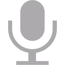Voice